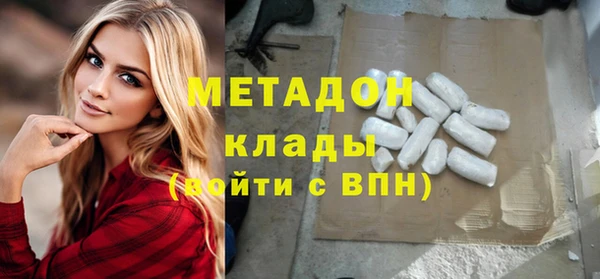гидра Елизово