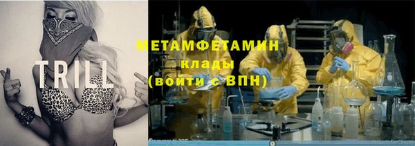 гидра Елизово