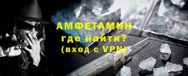 гидра Елизово