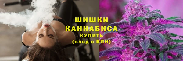 кокс Ельня