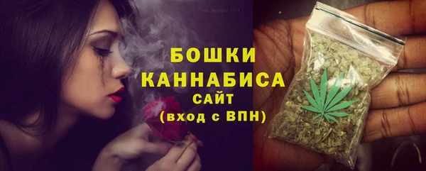 гидра Елизово