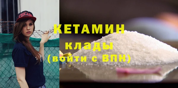 кокс Ельня