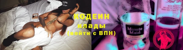 гидра Елизово