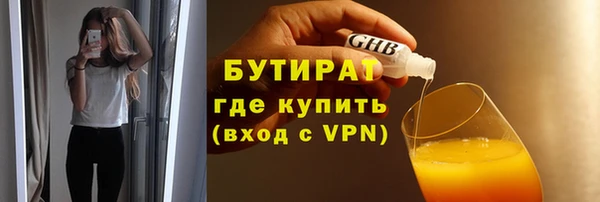 гидра Елизово