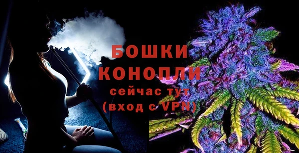 гидра Елизово