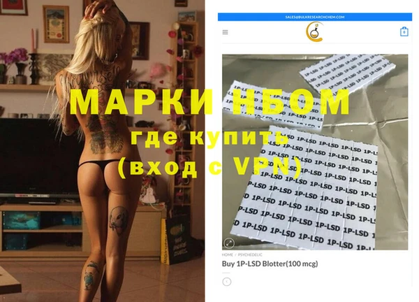 гидра Елизово