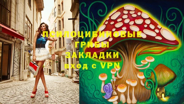 гидра Елизово