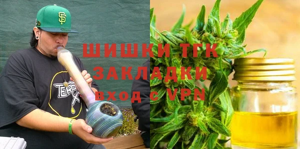 гидра Елизово
