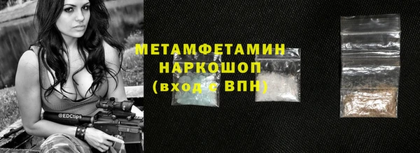 гидра Елизово