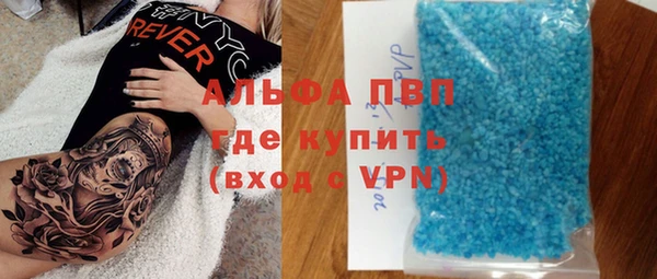 гидра Елизово