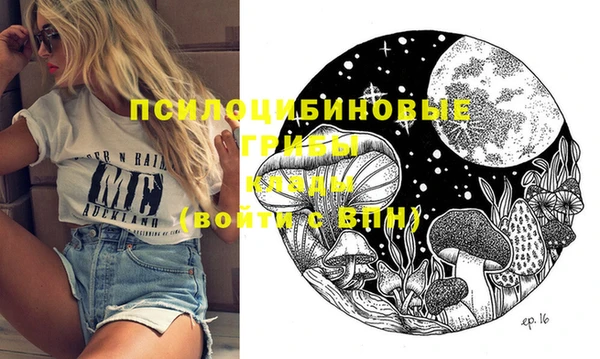 гидра Елизово