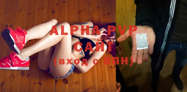 гидра Елизово